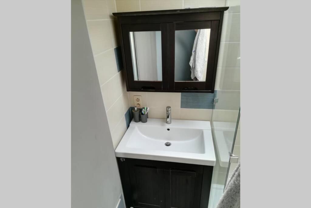 Appartement 20 Min Du Circuit Spa-Francorchamps, Verviers Dış mekan fotoğraf