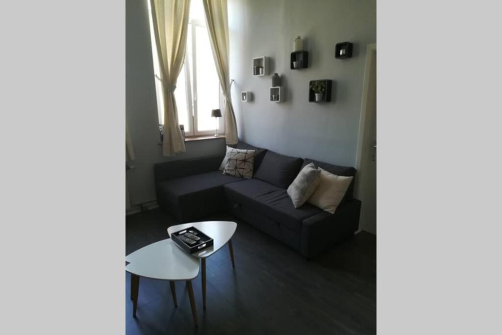 Appartement 20 Min Du Circuit Spa-Francorchamps, Verviers Dış mekan fotoğraf